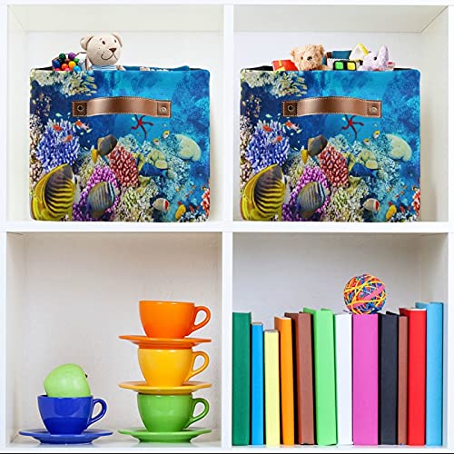 Meetutrip Rectangular Storage Bin Cube Tropical Fish Starfish Foldable Organizer Basket with Handles, Ocean Underwater Collapsible Storage Box for Kids Toy Shelf Closet Nursery