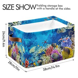 Meetutrip Rectangular Storage Bin Cube Tropical Fish Starfish Foldable Organizer Basket with Handles, Ocean Underwater Collapsible Storage Box for Kids Toy Shelf Closet Nursery