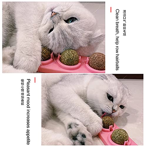 Bisogoon Catnip Toys, Catnip Wall Ball Toy, Cats Catnip Edible Balls, Natural Interactive Toy, Licking Treats Toys for Cats Kitty, Catnip Wall Toys (Blue)