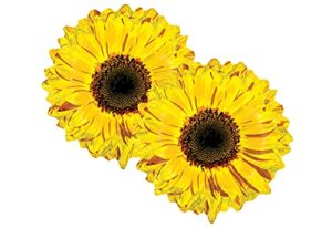 set of 2 yellow sunflower 24" foil party balloon