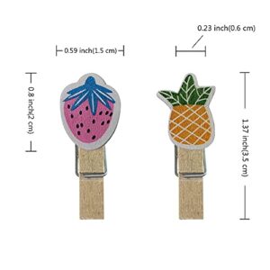 SaktopDeco 60 Counts Mini Summer Theme Wooden Clothespins Small Decorative Wood Peg Pin Craft Clip Pattern of Fruits Ice Cream Musical Instruments