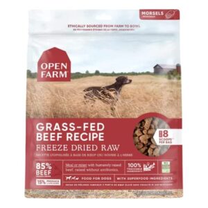 open farm freeze dried raw dog food, humanely raised meat recipe with non-gmo superfoods and no artificial flavors or preservatives, grass fed beef recipe freeze dried - 3.5oz