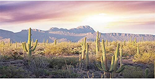 AWERT Reptile Habitat Background Blue Sky Oasis Mountain Cactus Sun and Desert Terrarium Background 36x18 inches