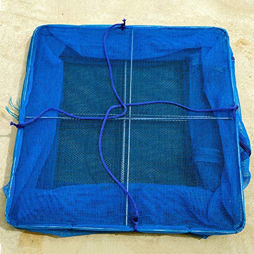 Coolbeauty 4 Layers Meat Drying Net, Foldable Nylon Fish Net Drying Rack, Folding Vegetable Food Dehydrator Receive Storage Carrying Bag with Zipper Blue (15.7X15.7inch/40X40cm cm)