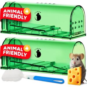 humane mouse traps indoor for home mice traps for house indoor no kill live catch mouse trap smart traps that work animal rodent catch and release double mousetraps easy set reusable hotel - 2 pack