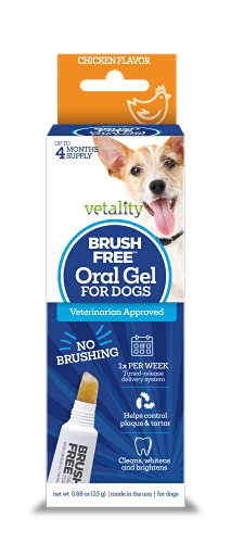 Vetality Brush Free Oral Gel for Dogs | Vet Formulated Dental Care with ProLong Technology | Cleans Teeth and Gums