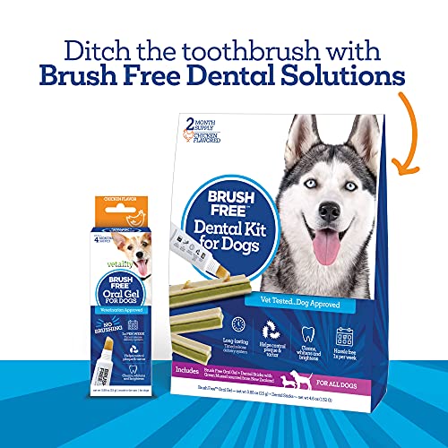 Vetality Brush Free Oral Gel for Dogs | Vet Formulated Dental Care with ProLong Technology | Cleans Teeth and Gums