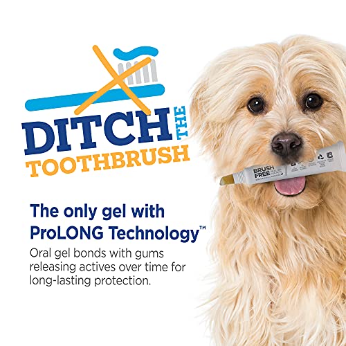 Vetality Brush Free Oral Gel for Dogs | Vet Formulated Dental Care with ProLong Technology | Cleans Teeth and Gums