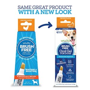 Vetality Brush Free Oral Gel for Dogs | Vet Formulated Dental Care with ProLong Technology | Cleans Teeth and Gums