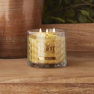 Root Candles Honeycomb Beeswax Blend Scented Candle, 12-Ounce, Bourbon Pear