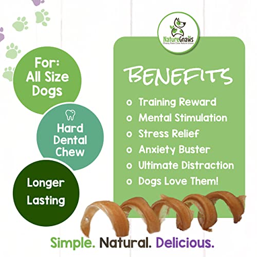 Nature Gnaws Bully Stick Springs for Dogs - Premium Natural Beef Dental Bones - Long Lasting Curly Dog Chew Treats for Aggressive Chewers - Rawhide Free