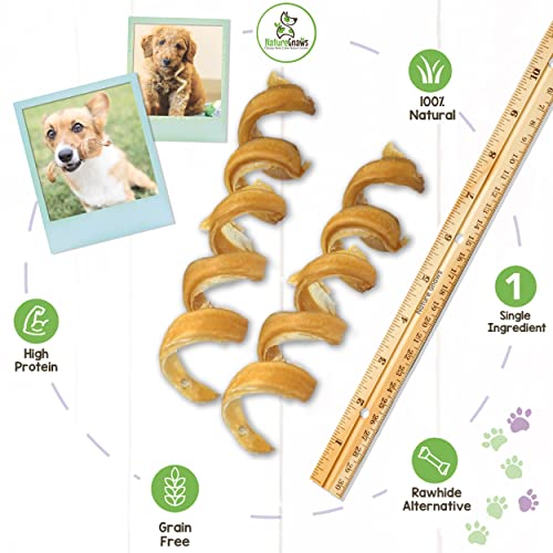 Nature Gnaws Bully Stick Springs for Dogs - Premium Natural Beef Dental Bones - Long Lasting Curly Dog Chew Treats for Aggressive Chewers - Rawhide Free