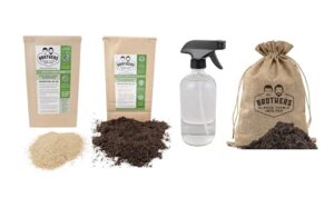 the essential worm farm starter kit