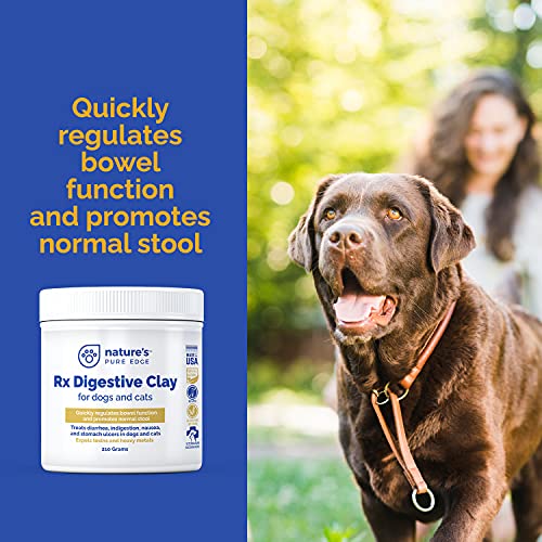 Rx Clay for Digestion for cat and Dog Stomach Relief. Cat and Dog Anti Diarrhea Medication. Cat and Dog Stomach Upset Medicine for cat and Dog Diarrhea. Extra Large 210 Grams. Veterinary Grade.