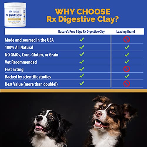 Rx Clay for Digestion for cat and Dog Stomach Relief. Cat and Dog Anti Diarrhea Medication. Cat and Dog Stomach Upset Medicine for cat and Dog Diarrhea. Extra Large 210 Grams. Veterinary Grade.