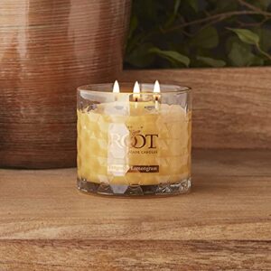 Root Candles Honeycomb Beeswax Blend Scented Candle, 12-Ounce, Tangerine Lemongrass