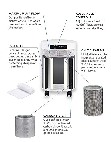 AIRPURA C600DLX AIR PURIFIER HELPS TO ELEMINATE SPECIFIC AIRBORNE PARTICLES INCLUDING VOLATILE ORGANIC COMPOUNDS,IMPROVE AIR QUALITY