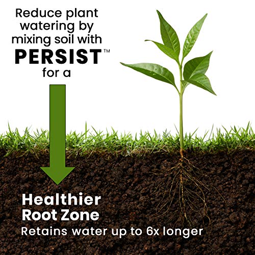 Persist Horticultural Charcoal, Biochar Soil Amendment for Indoor Plants, Improves Potting Soil for Indoor Plants & Terrariums, 100% Natural Active Carbon Organic House Plant Soil Enchancer 3qt Bag