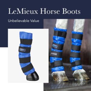 LeMieux Arctic Ice Therapy Horse Boots - Protective Gear and Training Equipment - Equine Boots, Wraps & Accessories (Black - OneSize)