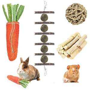 GANBRIPS 4 Pack Rabbit Chew Toys for Teeth, Bunny Chew Treats, 100% Natural Apple Wood Sticks Timothy Hay Balls Loofah Carrot Sweet Bamboo Toys for Bunnies/Chinchillas/Guinea Pigs/Hamsters