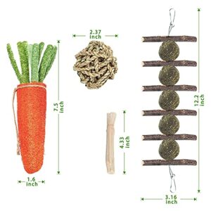 GANBRIPS 4 Pack Rabbit Chew Toys for Teeth, Bunny Chew Treats, 100% Natural Apple Wood Sticks Timothy Hay Balls Loofah Carrot Sweet Bamboo Toys for Bunnies/Chinchillas/Guinea Pigs/Hamsters