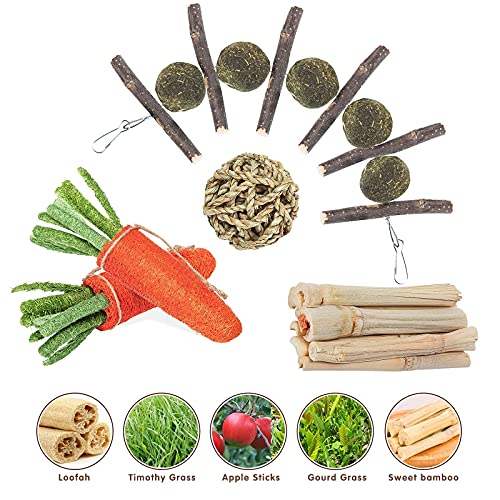 GANBRIPS 4 Pack Rabbit Chew Toys for Teeth, Bunny Chew Treats, 100% Natural Apple Wood Sticks Timothy Hay Balls Loofah Carrot Sweet Bamboo Toys for Bunnies/Chinchillas/Guinea Pigs/Hamsters