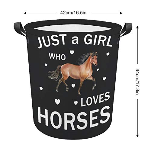 A Girl Who Loves Horses Design Laundry Basket Hamper Bag Dirty Clothes Storage Bin Waterproof Foldable Collapsible Toy Organizer for Office Bedroom Clothes Toys Gift Basket