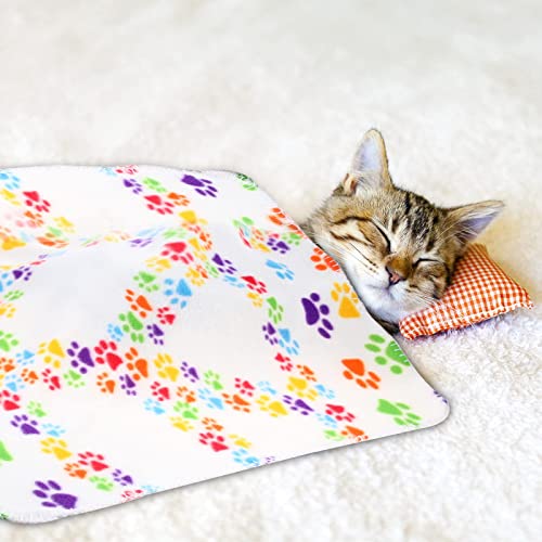 10 Pieces Pet Blankets with Paw Print Dog Cat Soft Fleece Blankets Sleep Mat Pad Bed Cover for Kitten Puppy and Other Small Animals, 24 x 28 Inch (Vibrant Color)