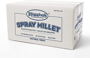 higgins spray millet bird treats, 5 pounds, single ingredient