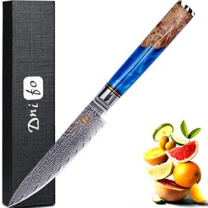 cloverpeia utility knife 5 inch, paring knife japanese damascus steel kitchen knife vg10 full tang resin&wood handle with gift box, fruits and vegetables chopping carving knives