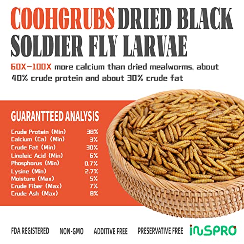 coohgrubs Premium Quality Dried Black Soldier Fly Larvae, Natural Nutritious Grubs for Chickens, High Protein and Calcium Rich Treats for Laying Hens, Ducks, Geese, Turkeys, Quails and More