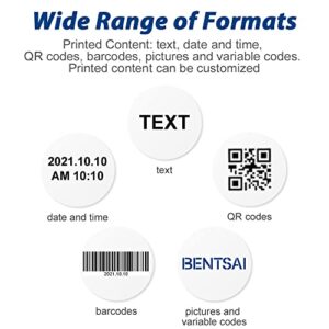 BENTSAI B85 Wide Format Handheld Inkjet Printer, Large Character Coding Machine Up to 3.93"/100mm Print Height, Use for Almost Any Surfaces with Solvent Quick Dry Ink for Logo, Label, Trademark