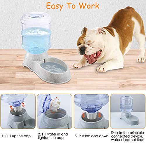 1 Gallon Automatic Replenish Pet Water Dispenser, Self-Dispensing Gravity Pets Water Feeder for Cats & Small Dogs