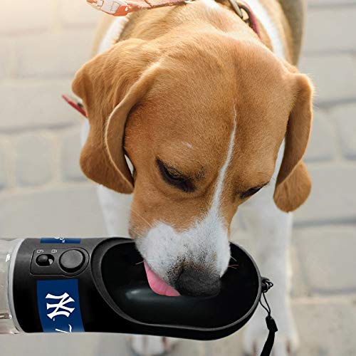 MLB Dog Water Bottle - New York Yankees Baseball Pet Water Bottle. Best Cat Water Bottle. Water Fountain Dispenser for Dogs & Cats, 13.5oz . Cool Pet Travel Water Bottle with 2 Carbon Water Filter