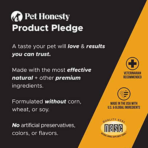 PetHonesty Immune Health Lysine - Supplement Powder for Cats - Immune Health, Cat Allergy Relief - Sneezing, Runny Nose, Watery Eyes - Cats & Kittens of All Ages - Omega 3s, L-Lysine - Chicken & Fish