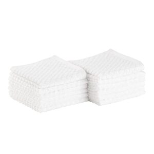 amazon basics odor resistant textured wash cloth, 12 x 12 inches - 12-pack, white