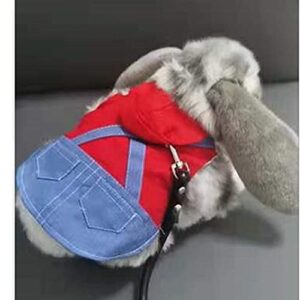 Anelekor Small Pet Costume Rabbit Clothes Ferret Hoodies Sweatshirt Bunny Vest Harness and Leash Set Kitten Sweater Small Animals Outfits for Chihuahua Kitty Mini Dog and Small Breeds (A, S)