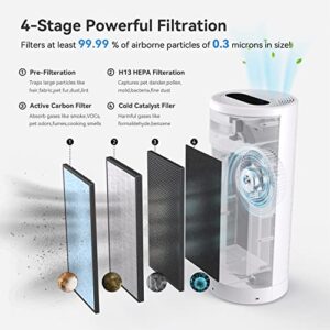 Zen Lyfe AP 808 Air Purifier Replacement Filter, 4-in-1 True HEPA, High-Efficiency Activated Carbon