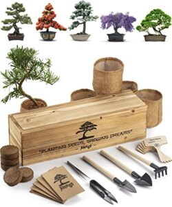 bonsai tree kit – 5x unique japanese bonzai trees | complete indoor starter kit for growing plants with bonsai seeds, tools & planters – gardening gifts for women & men