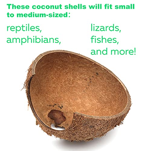 3-Pack Coconut Shell Hideouts for Reptiles Amphibians (Fishes Bearded Dragons Hamster Tortoise Hermit Crab)