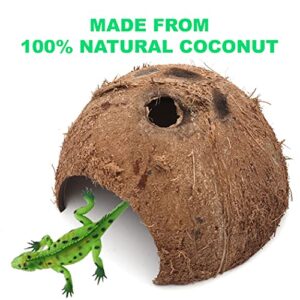 3-Pack Coconut Shell Hideouts for Reptiles Amphibians (Fishes Bearded Dragons Hamster Tortoise Hermit Crab)