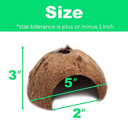 3-Pack Coconut Shell Hideouts for Reptiles Amphibians (Fishes Bearded Dragons Hamster Tortoise Hermit Crab)