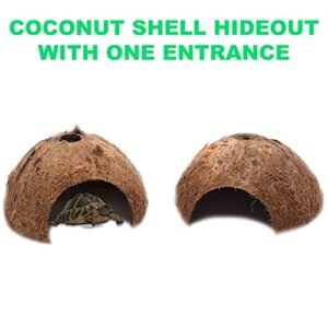 3-Pack Coconut Shell Hideouts for Reptiles Amphibians (Fishes Bearded Dragons Hamster Tortoise Hermit Crab)