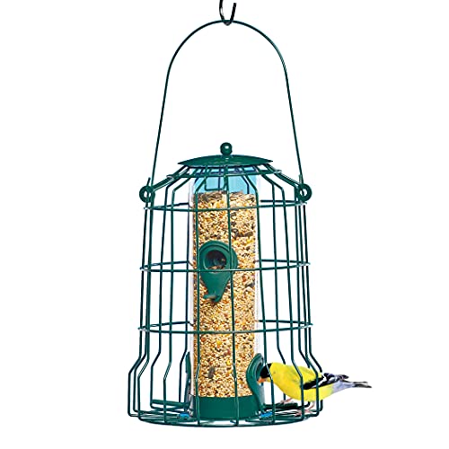 Collections Etc Easy View 4-Perch Steel Cage Birdfeeder - 8 oz. Capacity