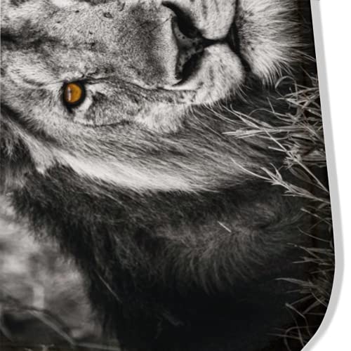 XYHH Area Rug Black and White Gray Lion Head for Living Room Dining Room Bedroom playroom Parent-Child Game mat Study Office Room Decor lz Gray,white 39x60in