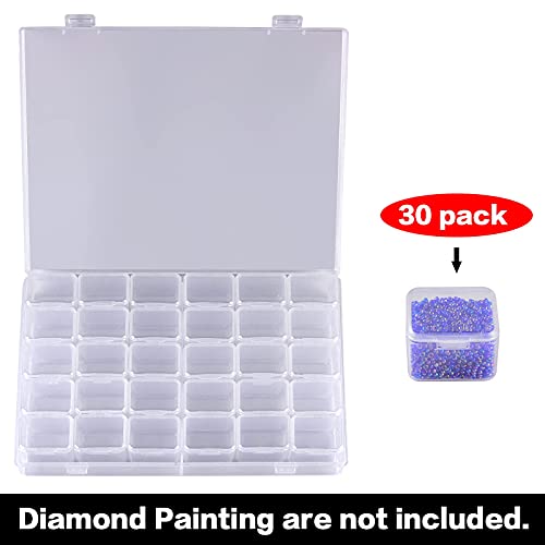 30 Grids Large Diamond Painting Storage, Art Accessories Tools Containers Case Plastic Bead Organizer 5D Diamond Embroidery Accessories for DIY Art Craft and Nail Diamonds(Box Only)