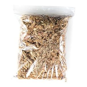 Josh's Frogs Bioactive ABG Substrate Vivarium Bundle- Extra Large