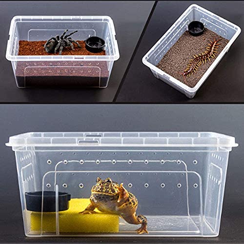 kathson 2PCS Reptile Feeding Box Portable Small Snake Terrarium Habitat Mini Pet Breeding Cage Hatching Container Transparent Gecko Houses for Small Frog Tarantula Spider Scorpion (White)