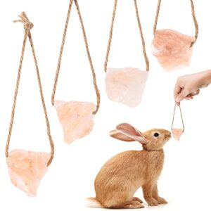 4 pack himalayan small pets lick salt block on rope- natural small animal mineral salt chew toys with rope, small pet chew treat supplies for guinea pig rabbits bunny ferrets