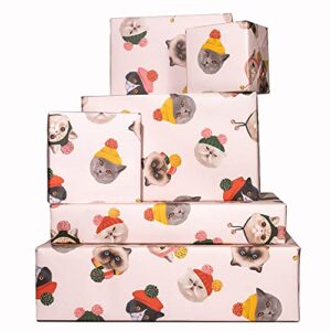 central 23 pink wrapping paper christmas - 6 sheets of giftwrap - cats in hats - for girls women - trendy wrap for kids - holiday festive gifts - recyclable